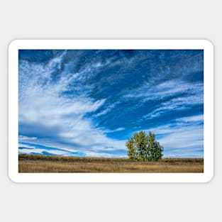 Blue Skies Sing Of Trees Sticker